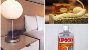 Она што се плаши и отколку да се водат креветите грешки